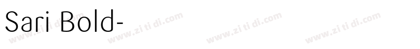 Sari Bold字体转换